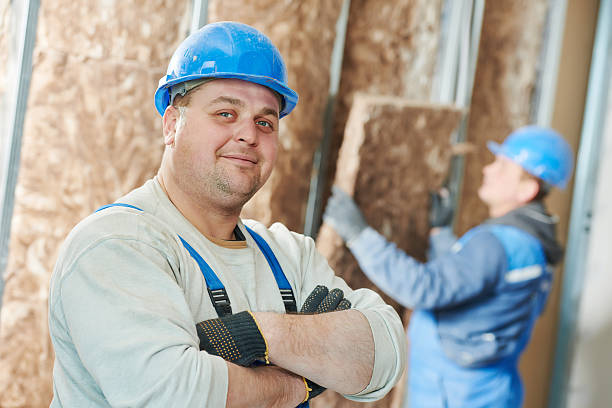Best Insulation Installation Services in Timberville, VA