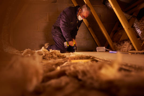 Best Types of Insulation in Timberville, VA