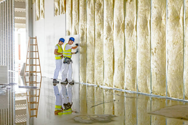Best Insulation for Specific Applications in Timberville, VA